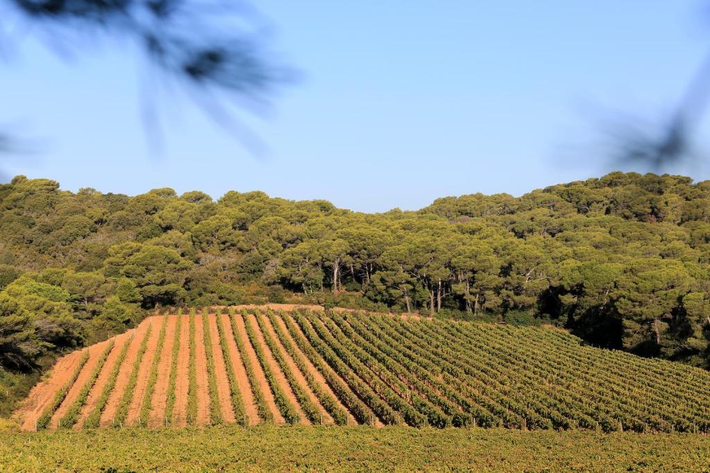 Les Medes Hotel 3*